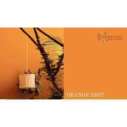 ORANGE ZEST ny.jpg